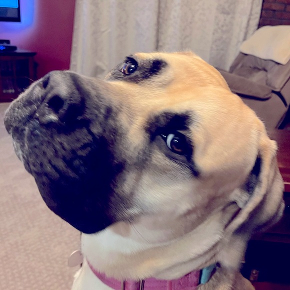 Meet your Posher, Angela - Picture 1 of 1